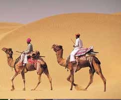 Ranakpur Package